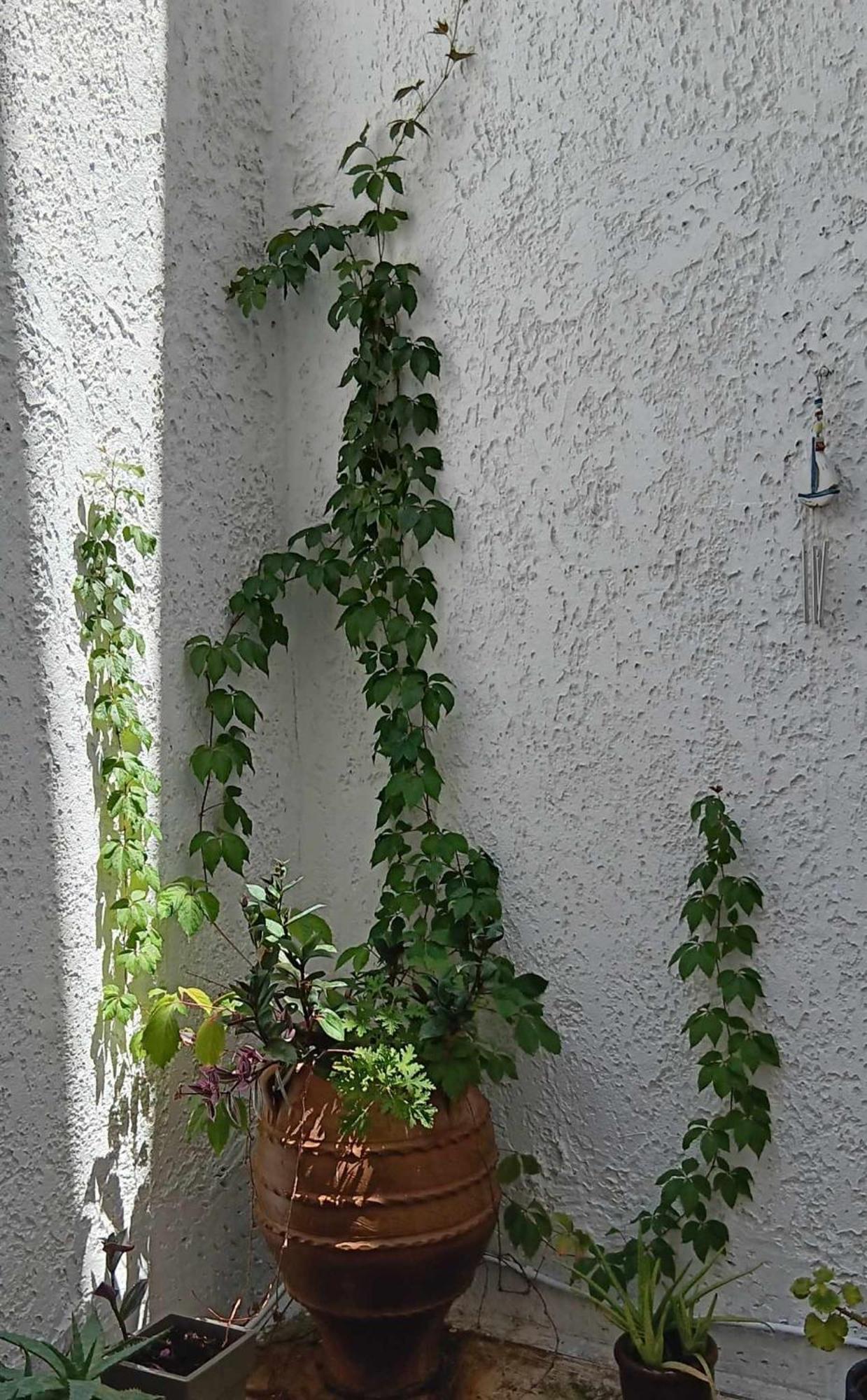 Athenian Asty Guesthouse Eksteriør billede